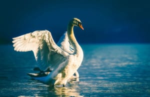 Ήλιος σε σύνοδο με Άρη : Αναγνώρισε την αξία σου!