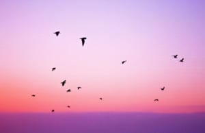 Οι μηνιαίες αστρολογικές Σεπτεμβρίου 2017 για τους Διδύμους