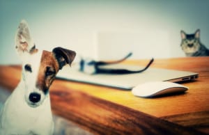 Ο Ερμής στον Αιγόκερω