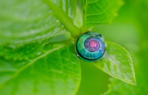 Οι μηνιαίες αστρολογικές προβλέψεις Σεπτεμβρίου 2017 για τον Παρθένο