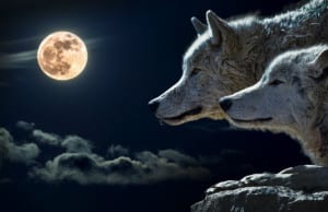 Η δυναμική Πανσέληνος Οκτωβρίου 2017 και οι προβλέψεις των ζωδίων